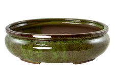 Oval Glazed Bonsai / Cactus &