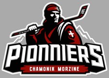 STICKER HOCKEY SUR GLACE FFHG