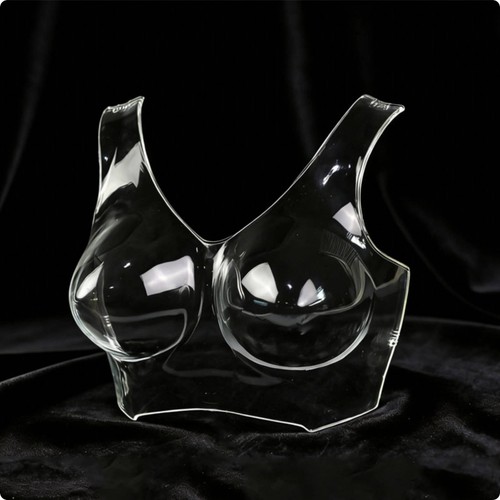 Mannequin buste transparent - mannequin,