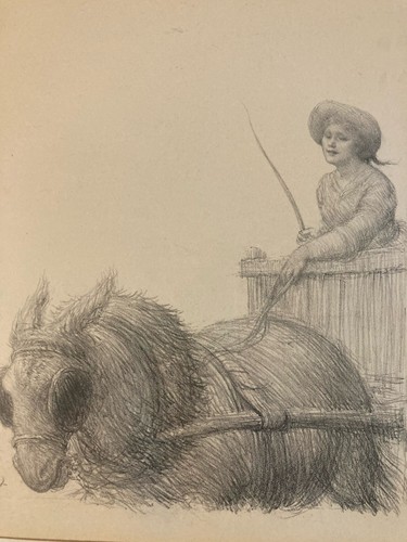 Lithographie portrait âne - portrait,