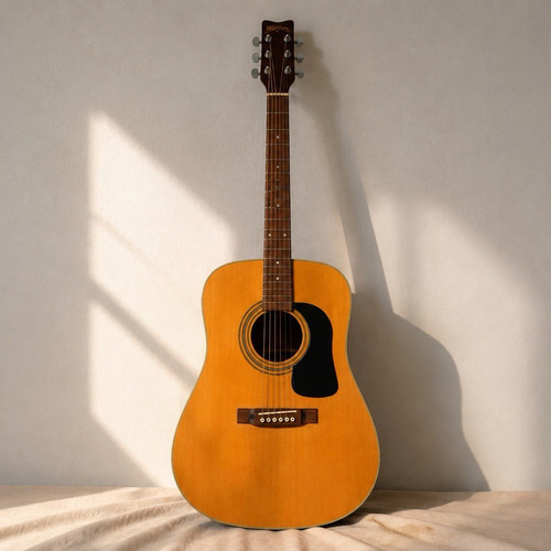 Washburn 10i dreadnought - d-10i,
