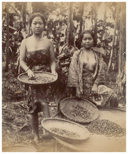 Fedor Schulze (attr)