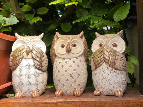 Trois sages hiboux - sages,