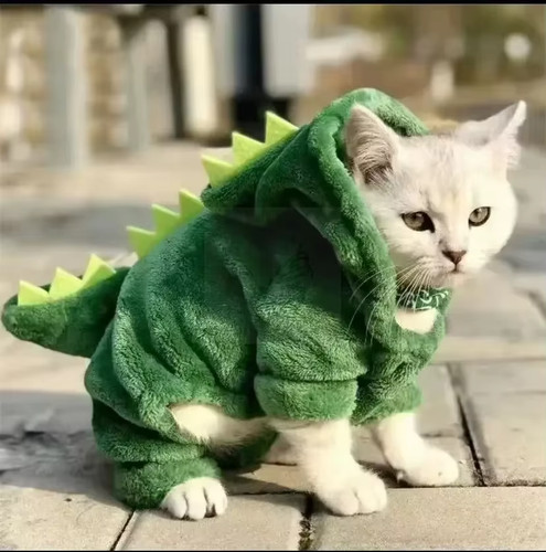 Costume dinosaure mignon - dinosaure, pour