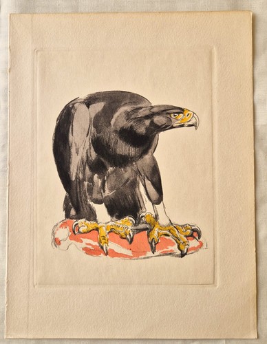 Lithographie paul jouve - lithographie,