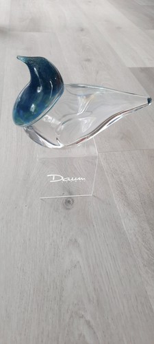 Colombe daum france avec - france,