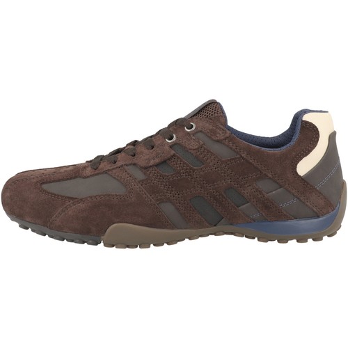 Geox snake baskets - geox, low