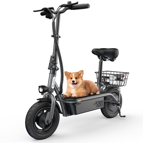 Trottinette électrique