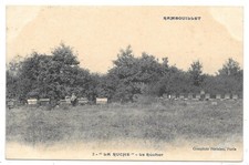 78 - postcard RAMBOUILLET - La Rûche - Le Rûcher - Libertarian School - Beekeeping