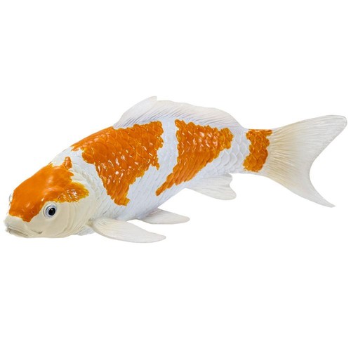 Koi carpe ochiba shigure - koi,