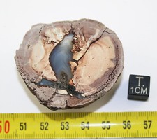 Lithophysis of the Esterel massif in the Var - France (51 grams - 002**)