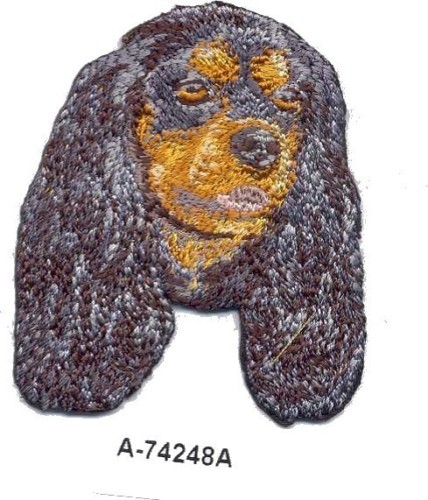 Cavalier king charles spaniel - charles,