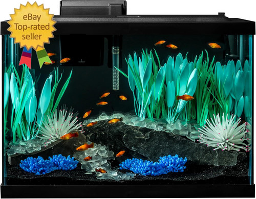 Colorfusion aquarium gallon - aquarium,