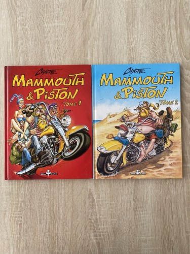 Mammouth piston lot - mammouth,