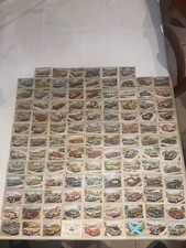 IMAGE VIGNETTE STICKER