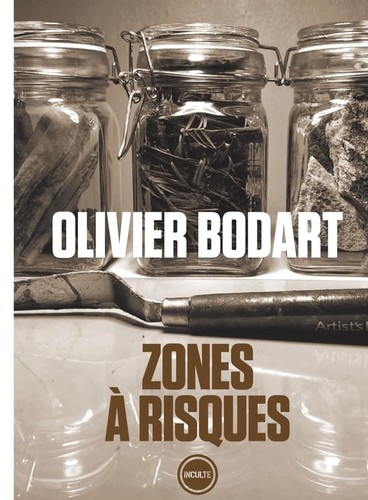 Zones risques paperback - -,
