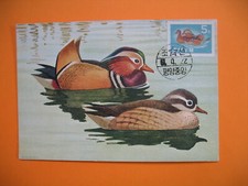 Card Maximum Korea - Carte Maximum Corée - Bird - Oiseaux  Canard mandarin