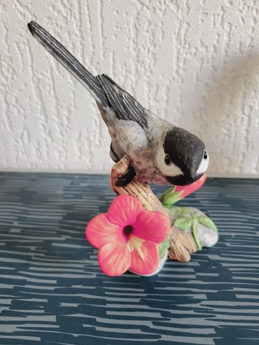 Black capped chickadee - capped, the