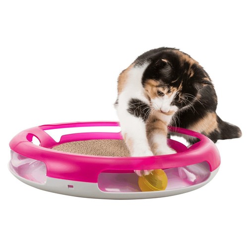 Jouet pour chat - race, &