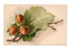 SMALL without signature. Hazelnut leaves. Hazelnuts postcard 2624
