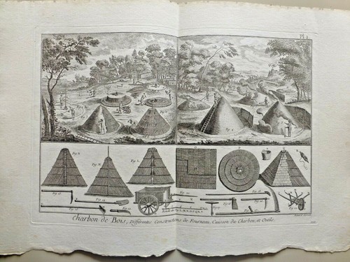 Charbon de bois - pl.,