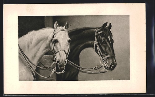 Deux chevaux avec bride carte - deux,