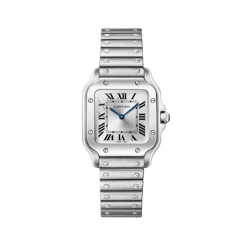 Cartier santos - santos,