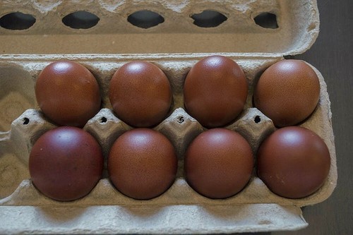 French black copper - french,