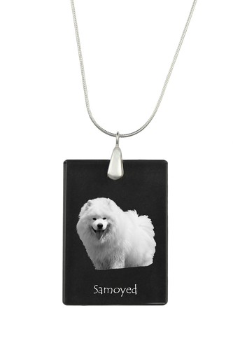 Samoyède samojedenhund - samoyède,,