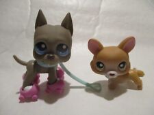 PETSHOP DUO: CORGI DOG N°183 + ARGENTINE DOG N°184 + ACCESSORIES