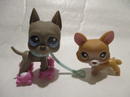 Petshop duo chien - duo,