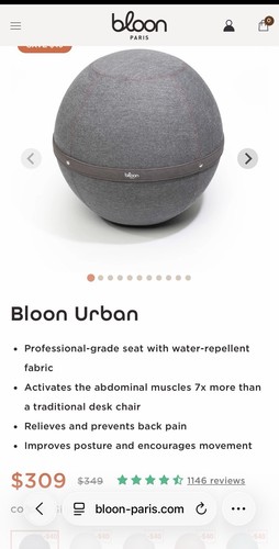 Bloon paris desk ball chair - paris,