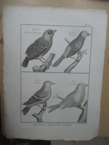 Gravure vers 1780