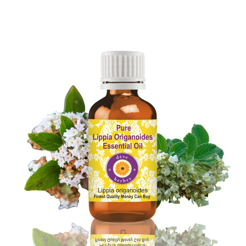 Huile essentielle pure - , lippia