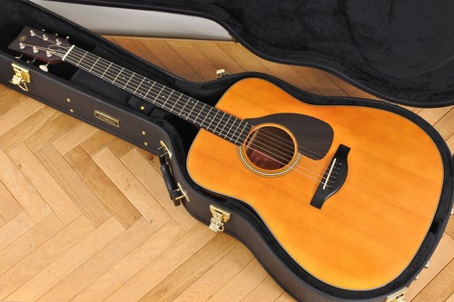Guitare électrique acoustique