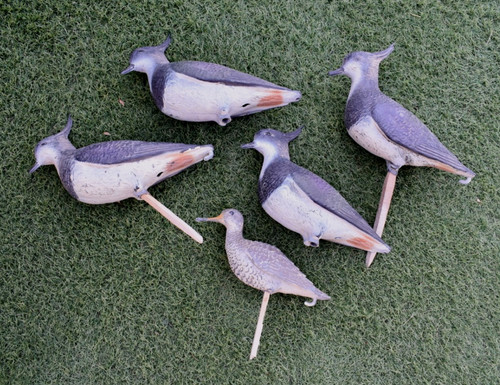 Lot appelants pour - lot, chasse