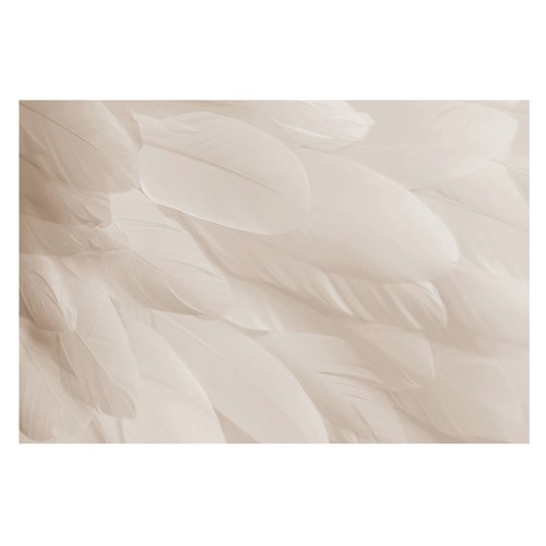 Papier peint intissé colle - peint,