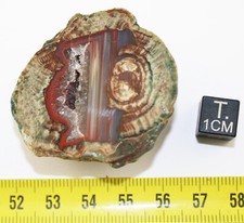 Lithophysis du massif de l'Esterel dans le Var - France (41.25 grams - 009**)