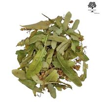 Feuilles et Fleurs de Tilleul