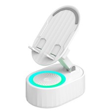 Haut-parleur BT sans fil pour