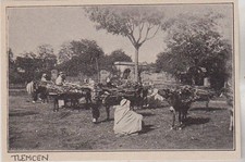 1896 -- LE MARCHE AU BOIS A TLEMCEN ALGERIE 3H470