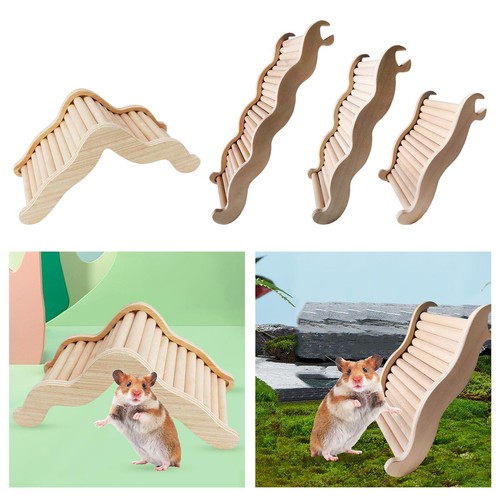 Hamster escaliers plateforme - escaliers,