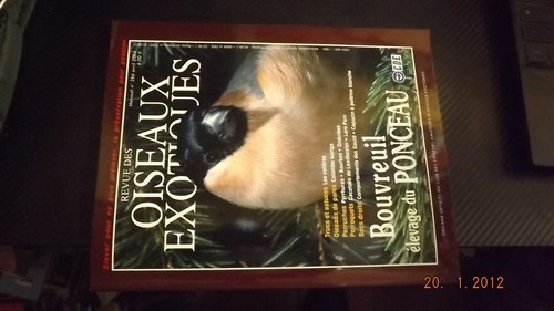 Revue cde oiseaux exotiques - revue,