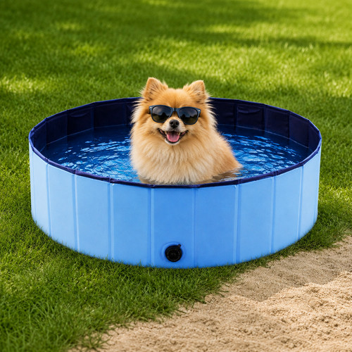 Piscine pliable pour - , chien