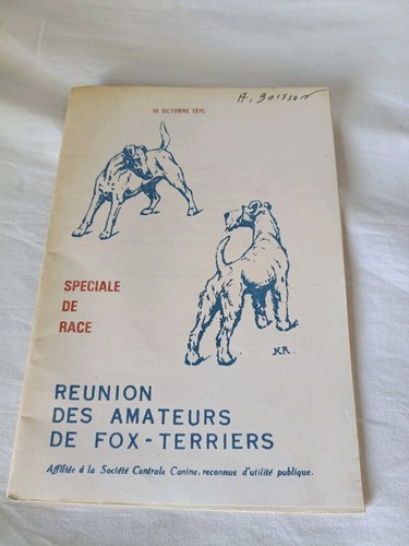 Fox terrier club - terrier,