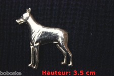 Doberman de profil finition or