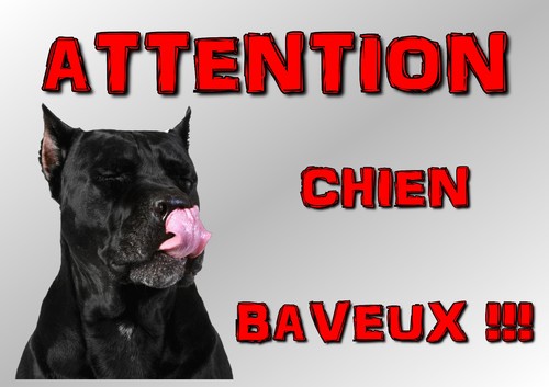 Plaque attention chien cane - au,