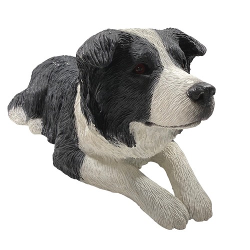Sandicast border collie dog - collie,