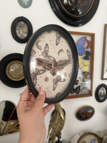 Cadre noir oval verre bombé
