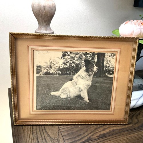 Vintage framed black - vintage,